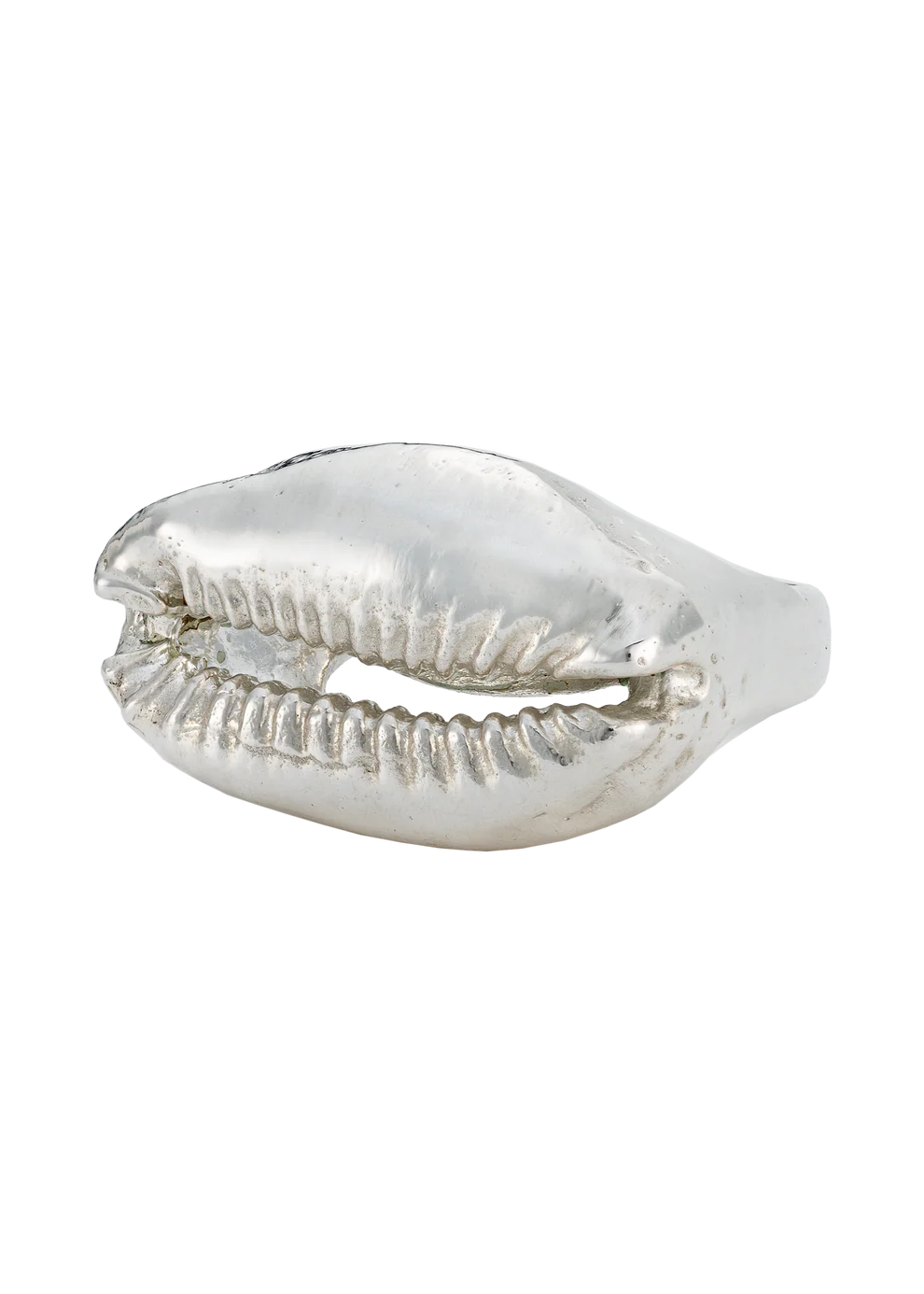 Cowrie Ring | Sliver