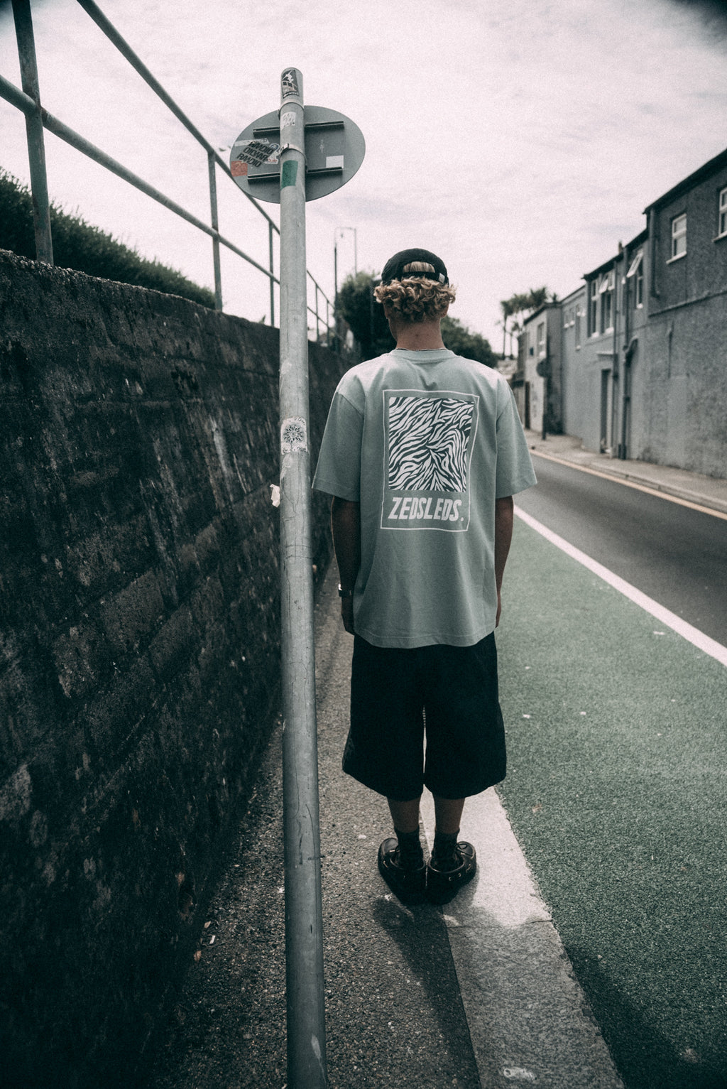 ZEDSLEDS Zebra Oversized Tee in Aloe