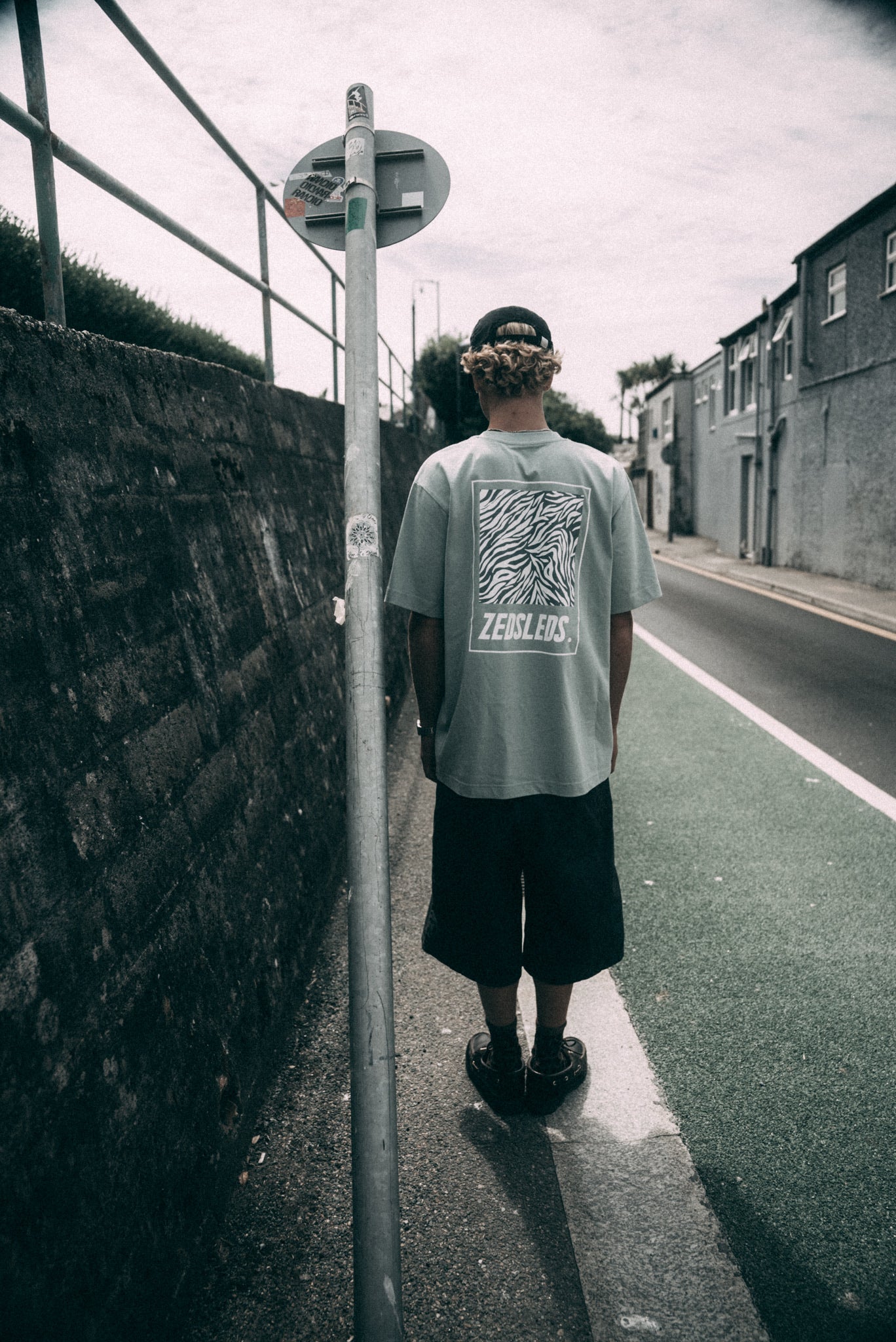 ZEDSLEDS Zebra Oversized Tee in Aloe